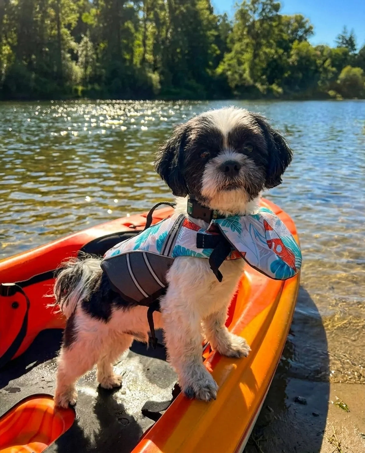Three things go wrong in the water. It handles all three.